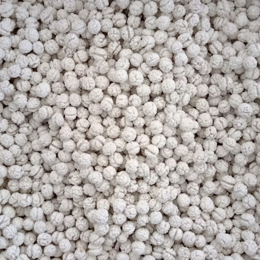 Beyaz Şekerli Leblebi