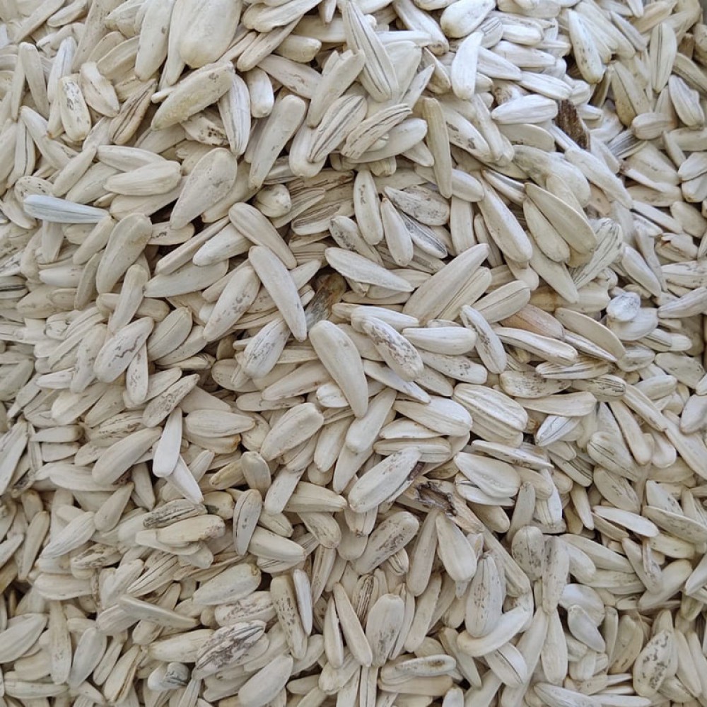 Beyaz Tuzlu Çekirdek