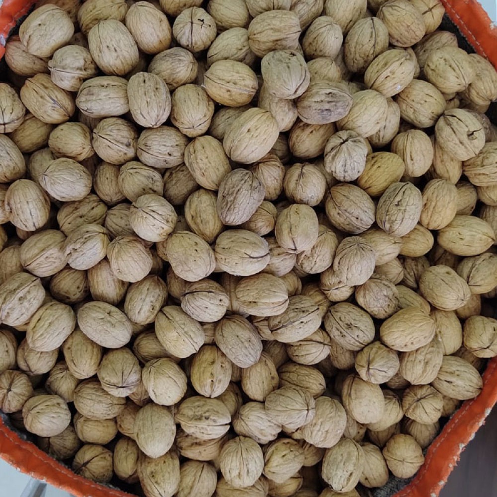 Denizli Yayla Cevizi