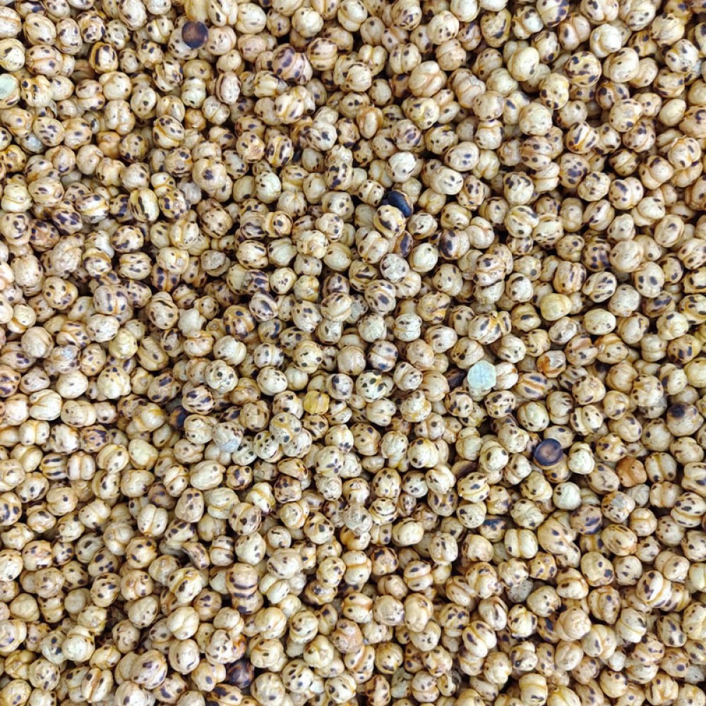 Tandır Kavurma Leblebi